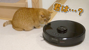 初めてロボット掃除機と対面した短足猫の反応が可愛すぎた！【Roborock】