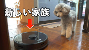 🐶お掃除ロボットとはじめて出会った犬の反応が可愛かったw【ロボロック S5 Max】【トイプードル】