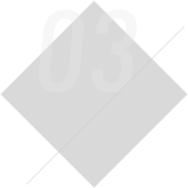 03